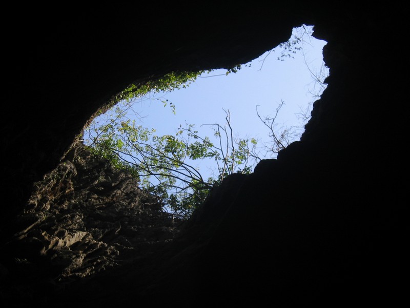 Blick auf die Vegetation